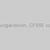 Alpha-Bungarotoxin, CF555 conjugate